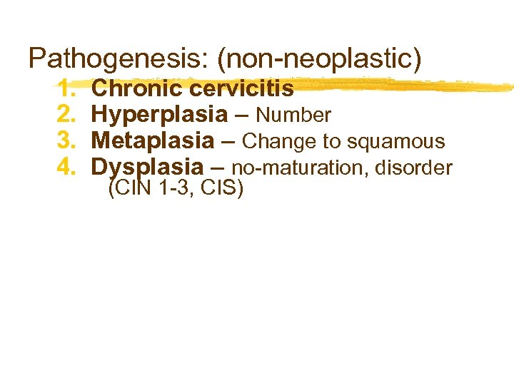Pathogenesis: (non-neoplastic) 1. 2. 3. 4. Chronic cervicitis Hyperplasia – Number Metaplasia – Change