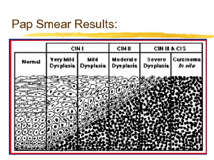 Pap Smear Results: 