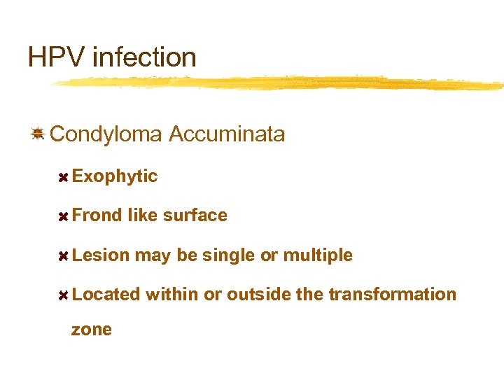 HPV infection Condyloma Accuminata Exophytic Frond like surface Lesion may be single or multiple