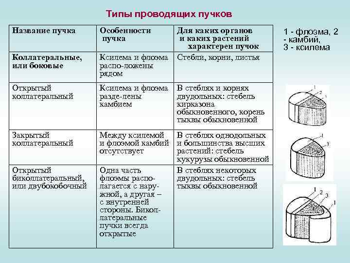 Типы проводящих