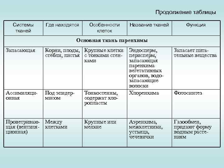 Продолжение таблицы Системы тканей Где находятся Особенности клеток Название тканей Функция Основная ткань паренхимы