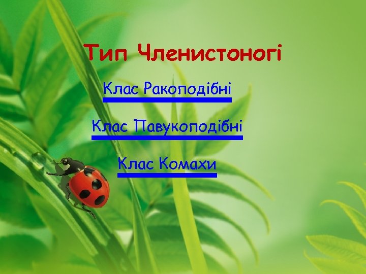 Тип Членистоногі Клас Ракоподібні Клас Павукоподібні Клас Комахи 