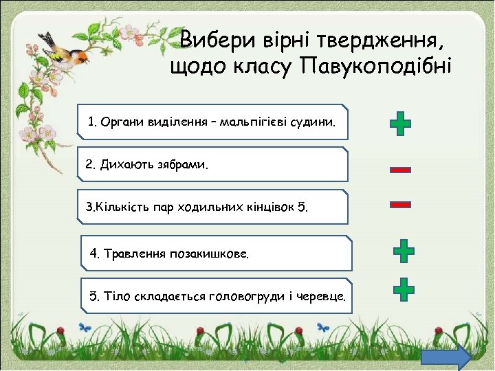 Вибери вірні твердження, щодо класу Павукоподібні. 1. Органи виділення – мальпігієві судини. 2. Дихають