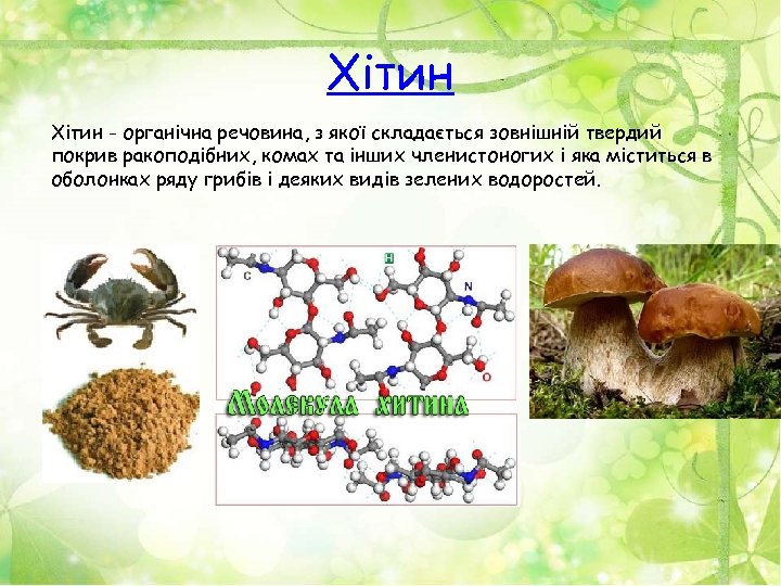Хітин - органічна речовина, з якої складається зовнішній твердий покрив ракоподібних, комах та інших