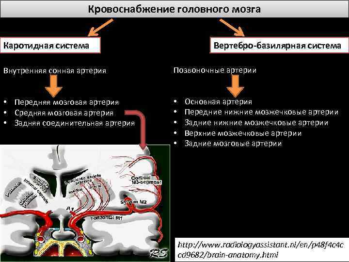 Вертебро базилярная недостаточность карта вызова