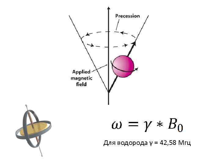 Для водорода γ = 42, 58 Мгц 