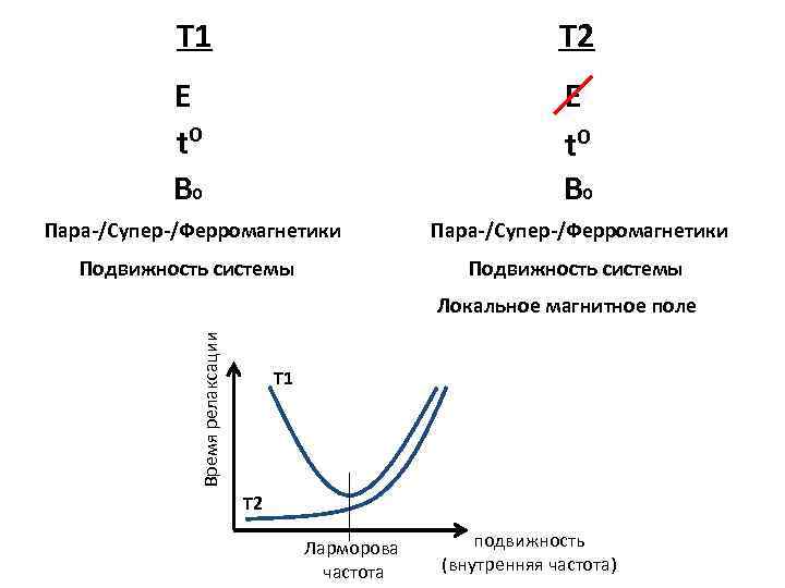 Т 1 Т 2 E t⁰ B 0 Пара-/Супер-/Ферромагнетики Подвижность системы Время релаксации Локальное