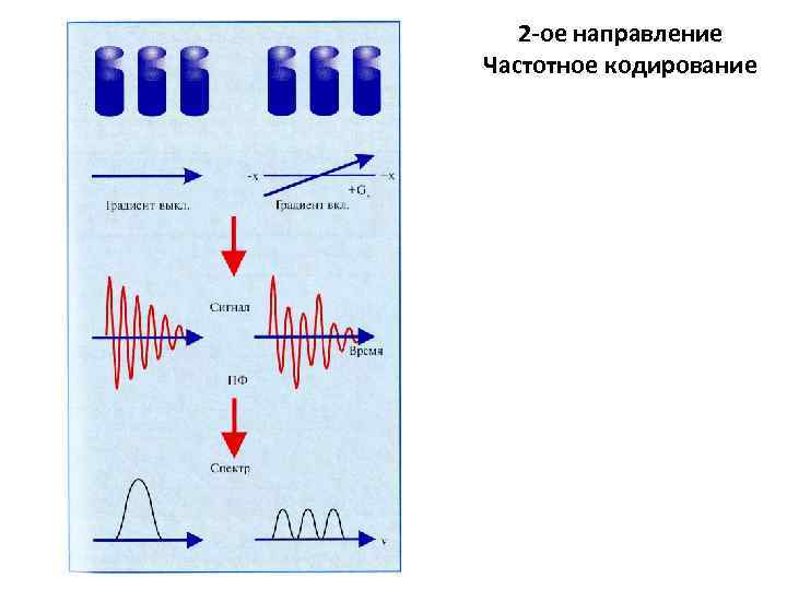 2 -ое направление Частотное кодирование 