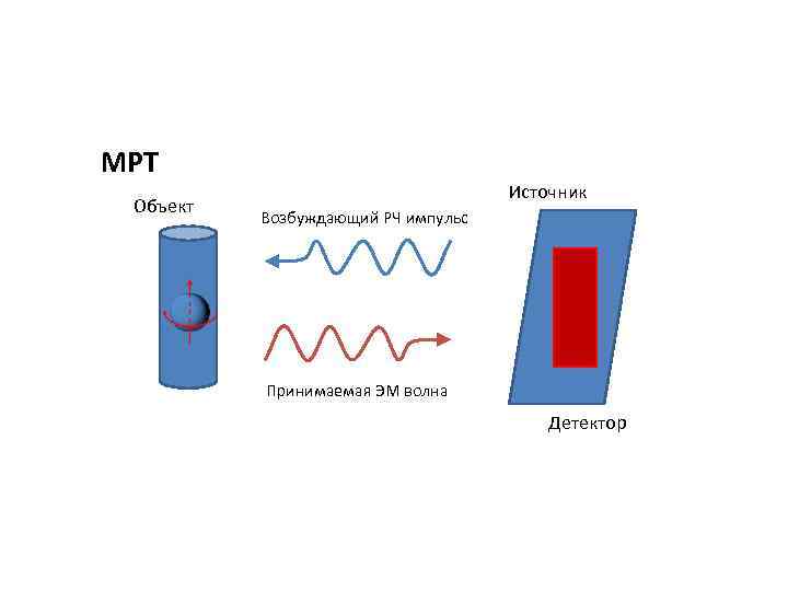 МРТ Объект Источник Возбуждающий РЧ импульс Принимаемая ЭМ волна Детектор 