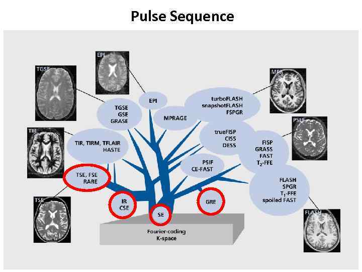 Pulse Sequence 