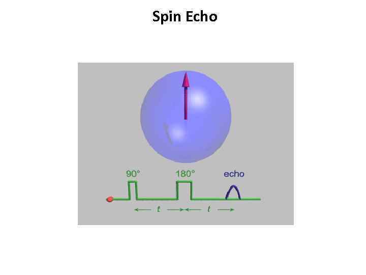 Spin Echo 