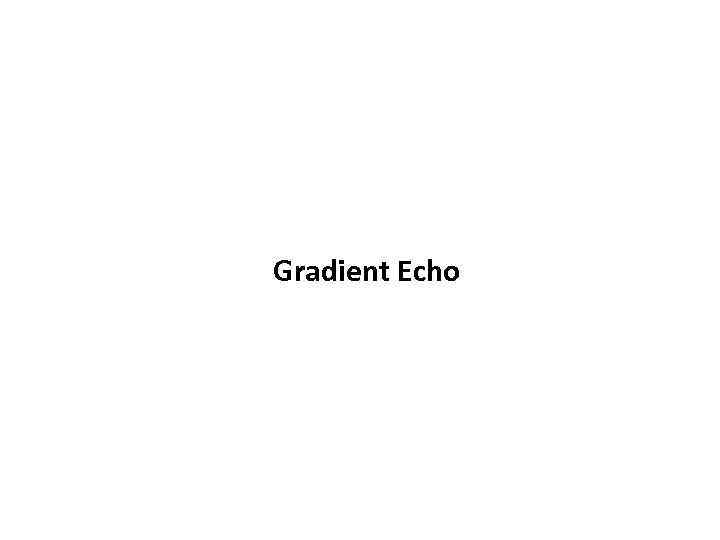 Gradient Echo 