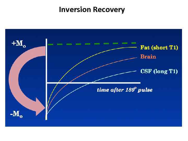 Inversion Recovery 