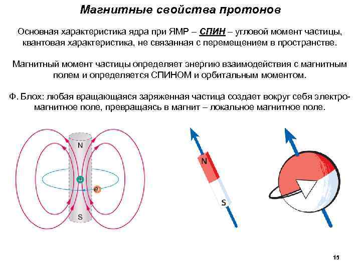 Магнитные свойства протонов Основная характеристика ядра при ЯМР – СПИН – угловой момент частицы,