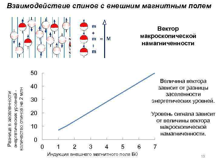 Взаимодействие спинов с внешним магнитным полем Вектор макроскопической намагниченности Разница в заселенности энергетических уровней