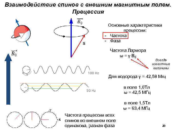 Взаимодействие спинов с внешним магнитным полем. Прецессия Основные характеристики прецессии: - Частота - Фаза
