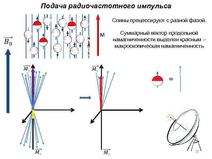 Подача радиочастотного импульса Спины прецессируют с разной фазой. Суммарный вектор продольной намагниченности выделен красным