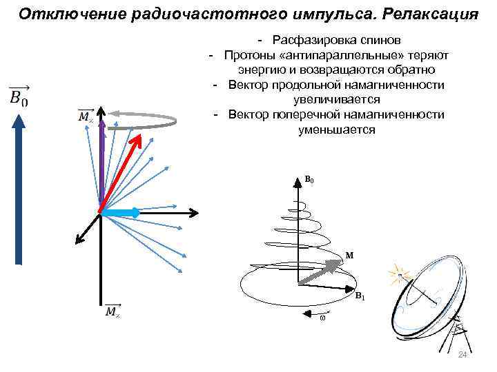 Отключение радиочастотного импульса. Релаксация - Расфазировка спинов - Протоны «антипараллельные» теряют энергию и возвращаются