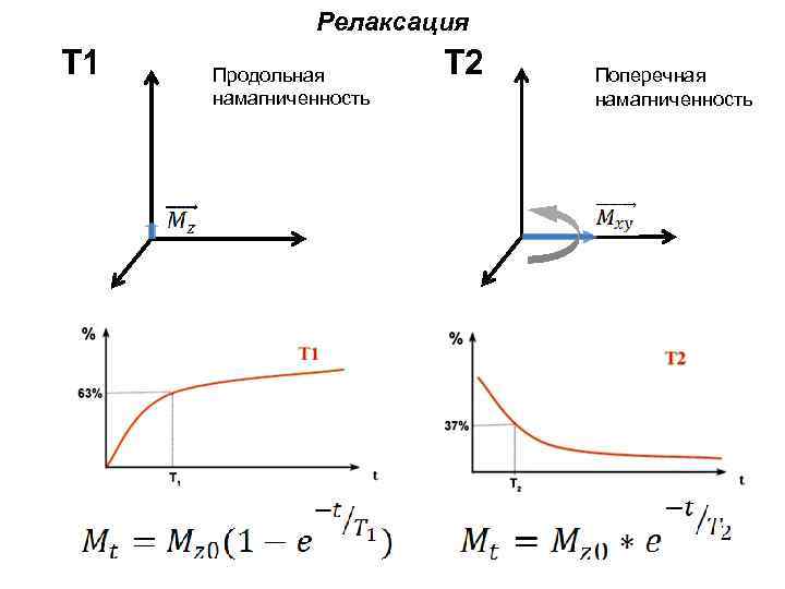 Время т 1. Спин-Решеточная релаксация. Спин-спиновая релаксация.. Продольная релаксация. Релаксация намагниченности. Процессы продольной и поперечной релаксации.