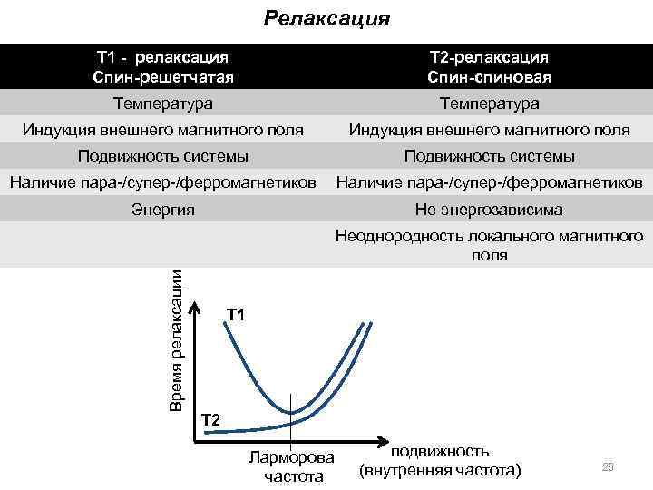 Релаксация Т 1 - релаксация Спин-решетчатая Т 2 -релаксация Спин-спиновая Температура Индукция внешнего магнитного