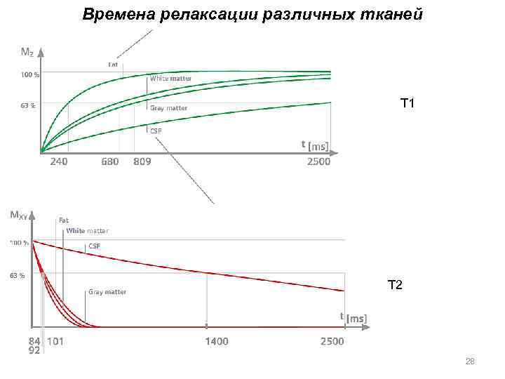 Времена релаксации различных тканей Т 1 Т 2 28 