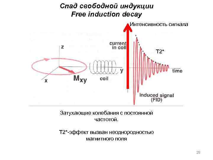 Спад свободной индукции Free induction decay Интенсивность сигнала Т 2* Затухающие колебания с постоянной