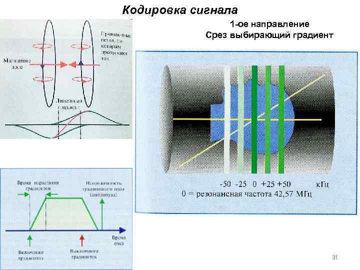 Кодировка сигнала 1 -ое направление Срез выбирающий градиент 31 