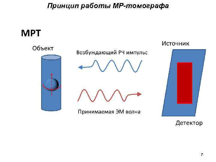 Принцип работы МР-томографа 7 