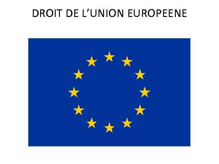 DROIT DE L’UNION EUROPEENE 