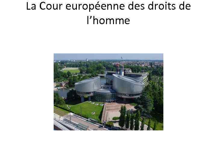 La Cour européenne des droits de l’homme 