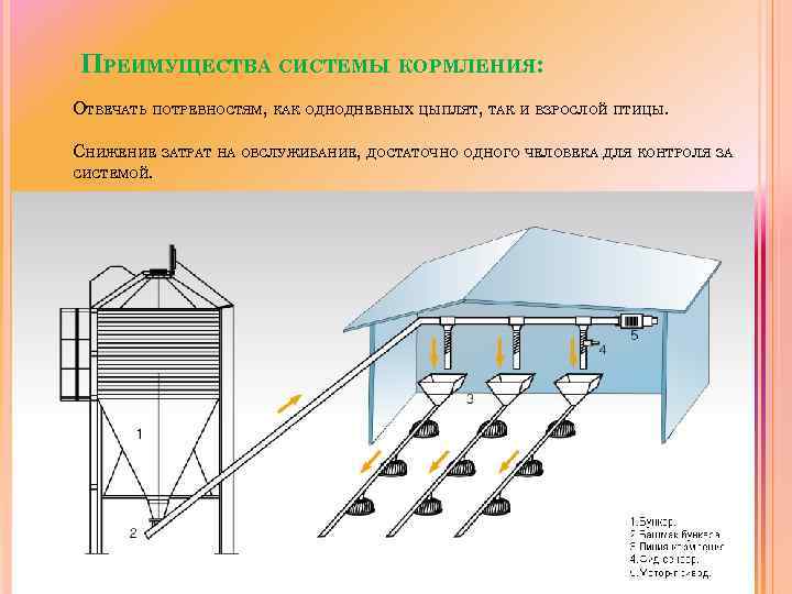 ПРЕИМУЩЕСТВА СИСТЕМЫ КОРМЛЕНИЯ: ОТВЕЧАТЬ ПОТРЕБНОСТЯМ, КАК ОДНОДНЕВНЫХ ЦЫПЛЯТ, ТАК И ВЗРОСЛОЙ ПТИЦЫ. СНИЖЕНИЕ ЗАТРАТ