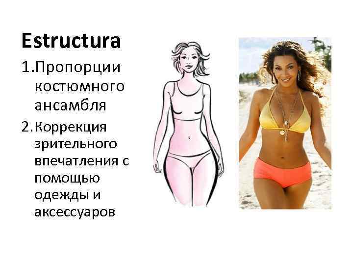 Estructura 1. Пропорции костюмного ансамбля 2. Коррекция зрительного впечатления с помощью одежды и аксессуаров