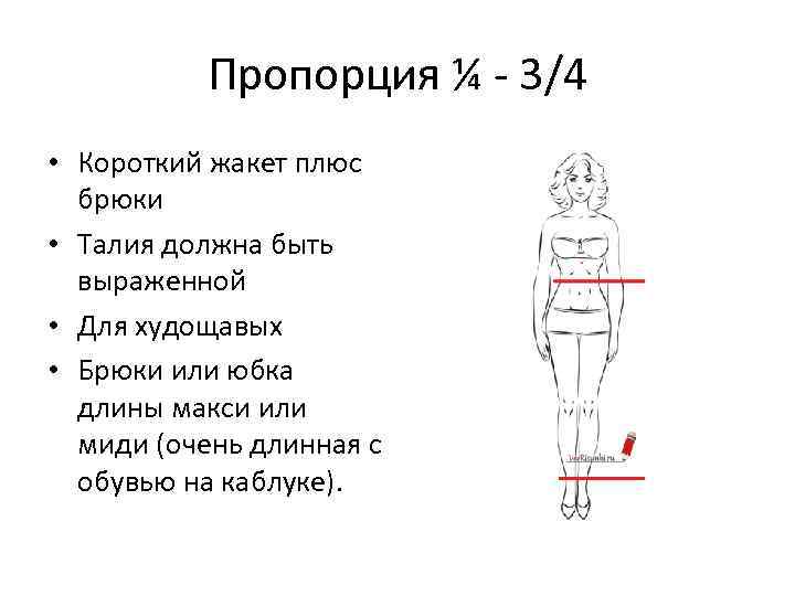 Пропорция ¼ - 3/4 • Короткий жакет плюс брюки • Талия должна быть выраженной