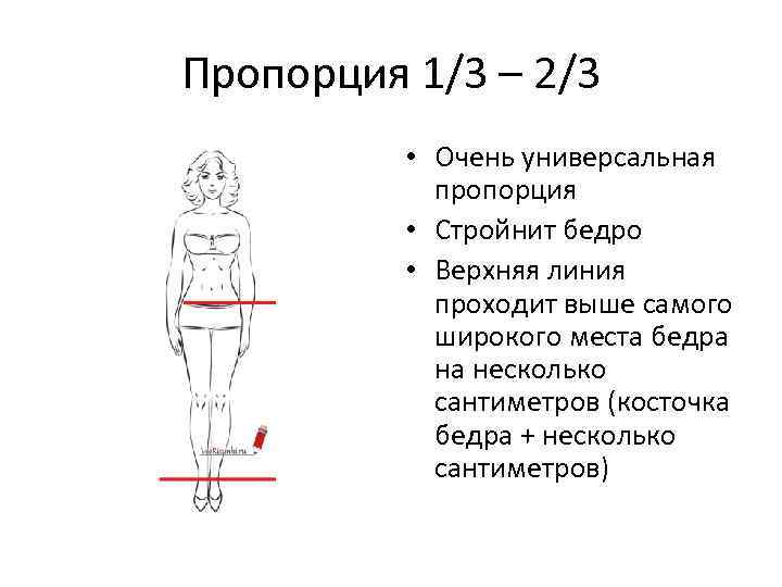Пропорция 1/3 – 2/3 • Очень универсальная пропорция • Стройнит бедро • Верхняя линия