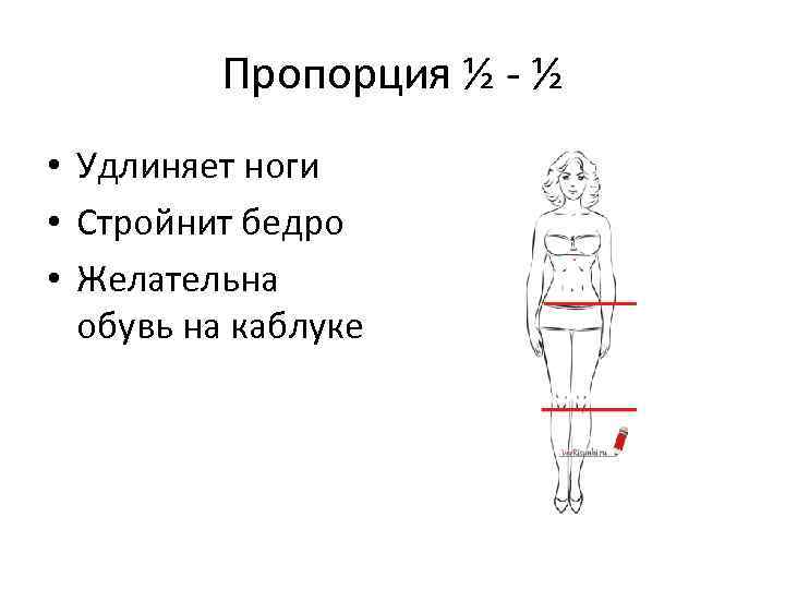 Короткое туловище. Пропорции ноги человека. Соотношение голени к бедру. Пропорции идеальных ног. Соотношение бедра и голени у женщин.