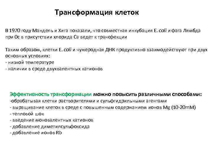 Трансформация клеток В 1970 году Мандель и Хига показали, что совместная инкубация E. coli
