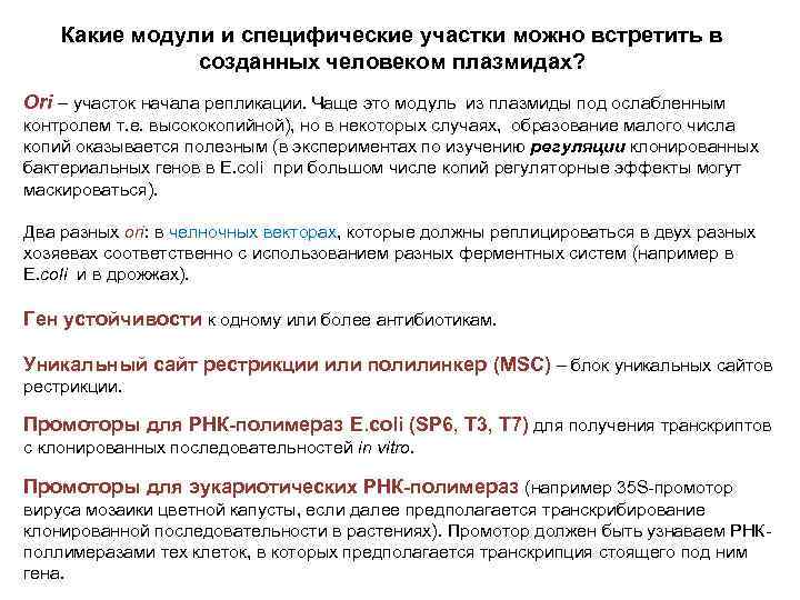 Какие модули и специфические участки можно встретить в созданных человеком плазмидах? Ori – участок