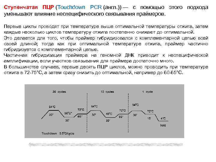 Ступенчатая ПЦР (Touchdown PCR (англ. )) — с помощью этого подхода уменьшают влияние неспецифического