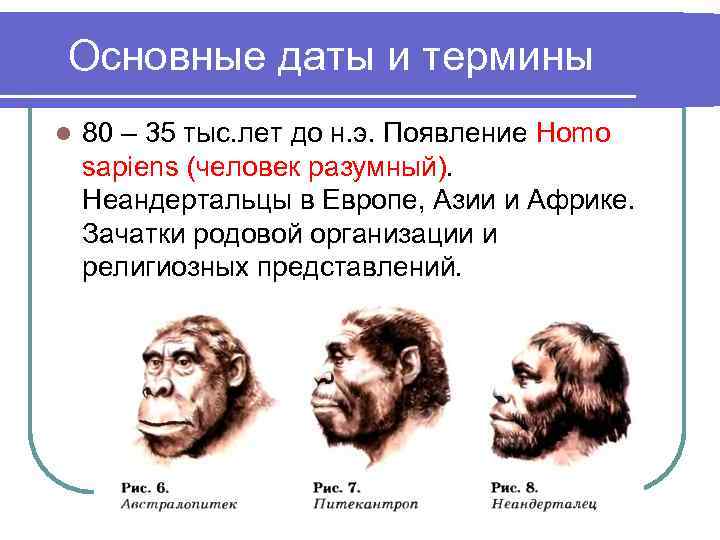 Основные даты и термины l 80 – 35 тыс. лет до н. э. Появление