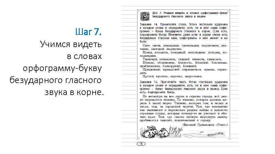  Шаг 7. Учимся видеть в словах орфограмму-букву безударного гласного звука в корне. 