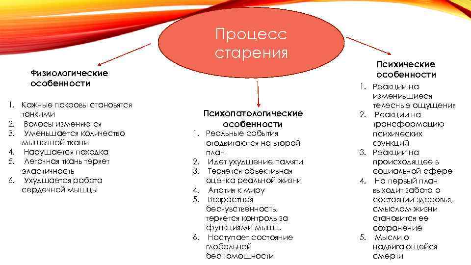 Процесс старения Физиологические особенности 1. Кожные покровы становятся тонкими 2. Волосы изменяются 3. Уменьшается