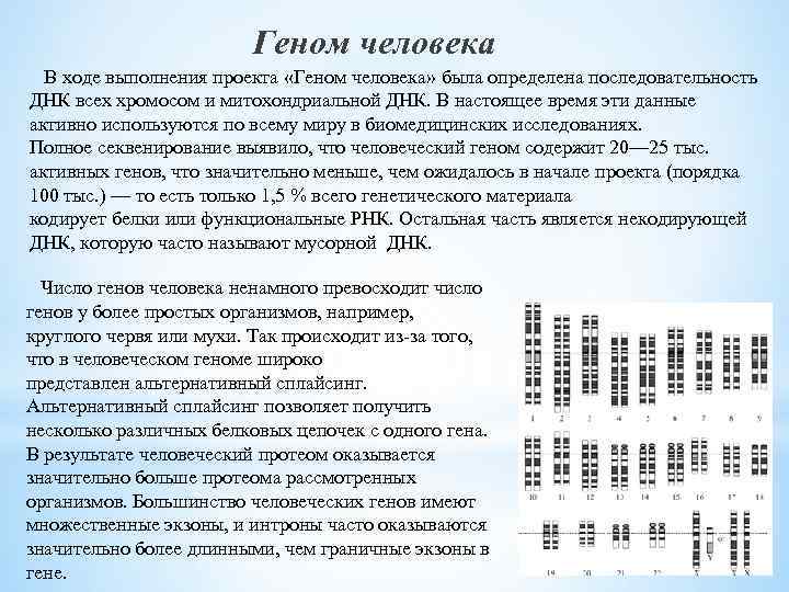 Геном человека В ходе выполнения проекта «Геном человека» была определена последовательность ДНК всех хромосом