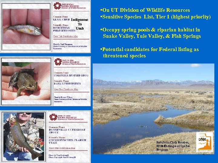 Indigenous To Utah • On UT Division of Wildlife Resources • Sensitive Species List,
