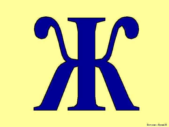 Вот она – буква Ж 