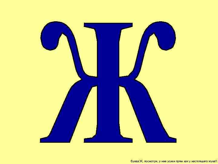 буква Ж, посмотри, у нее усики прям как у настоящего жука!! 