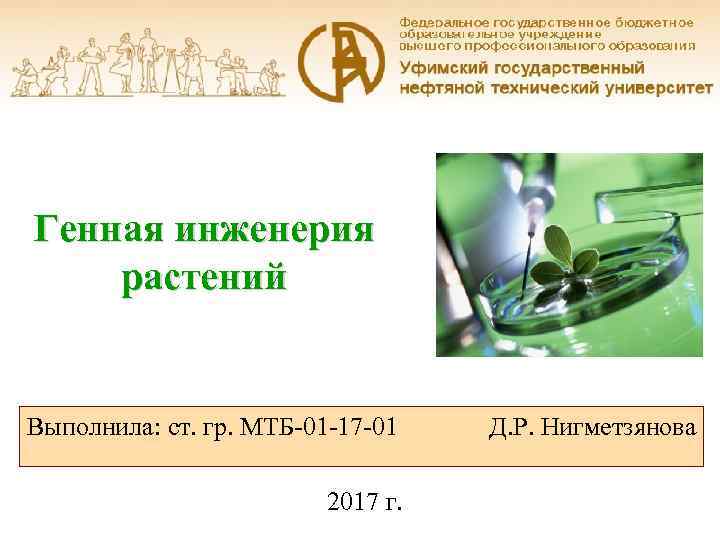 Генная инженерия растений Выполнила: ст. гр. МТБ-01 -17 -01 2017 г. Д. Р. Нигметзянова
