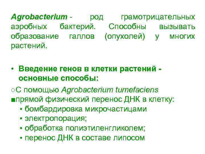 Agrobacterium - род грамотрицательных аэробных бактерий. Способны вызывать образование галлов (опухолей) у многих растений.