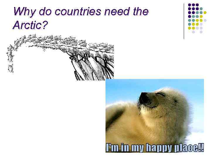 Why do countries need the Arctic? 