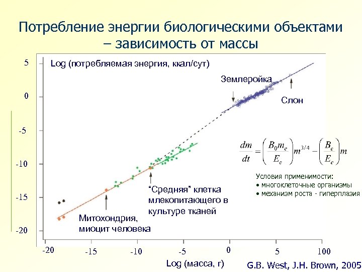 Зависимость потребностей