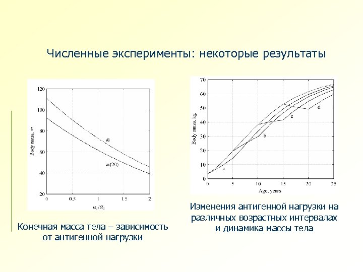 Численные эксперименты: некоторые результаты Конечная масса тела – зависимость от антигенной нагрузки Изменения антигенной